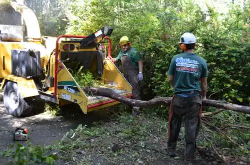 tree services Lochmoor Waterway Estates